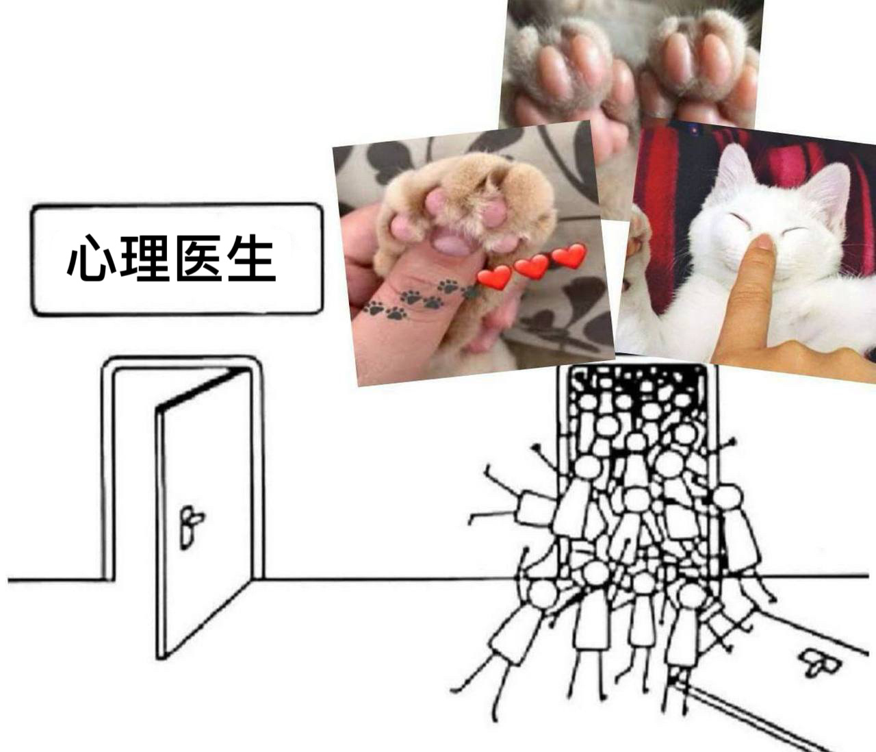 分享图片 ​​​
