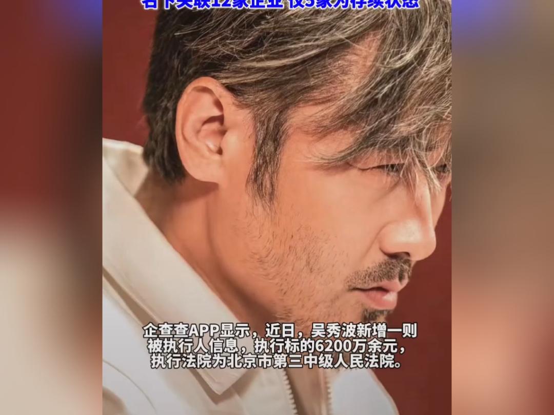 吴秀波再添6200万元被执行记录
 
中国执行信息公开网最新公示信息显示，演员吴