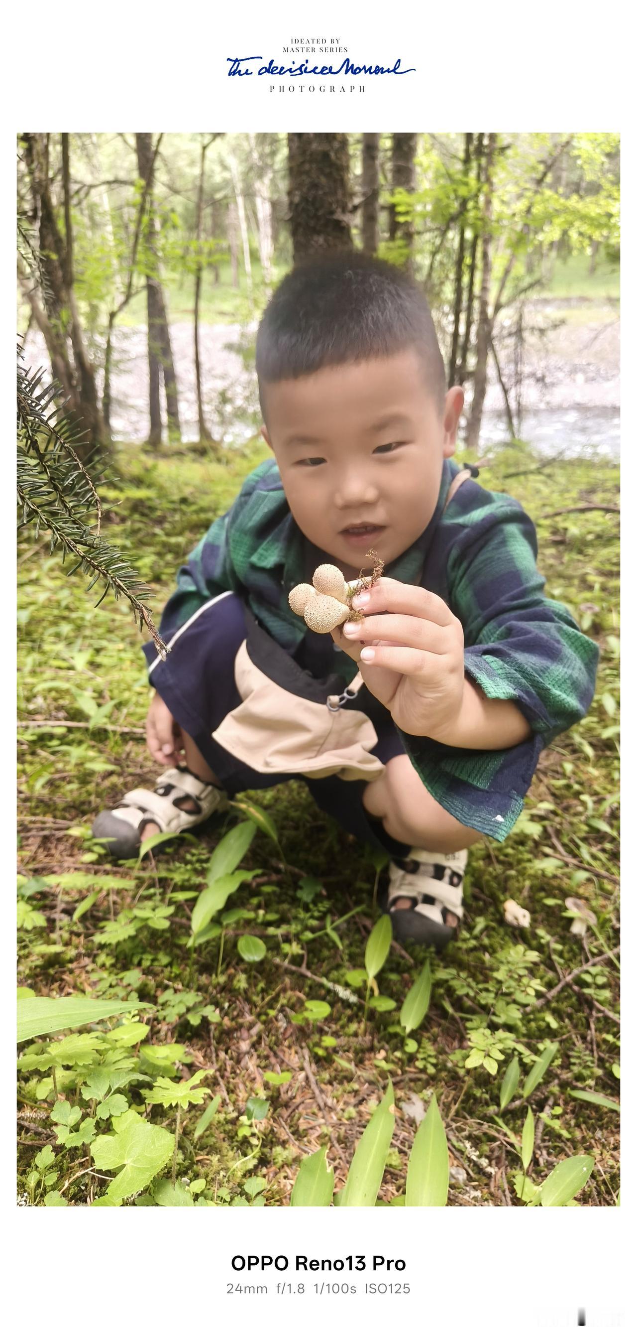 盛夏来到川西的山林，最有意思的事莫过于进山捡菌子，这才是属于夏天独有的快乐。
 