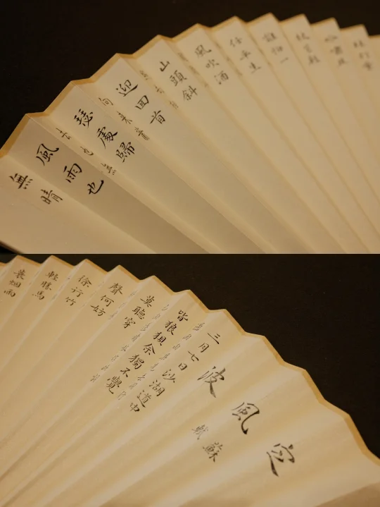 夏日写扇｜定一下风波～