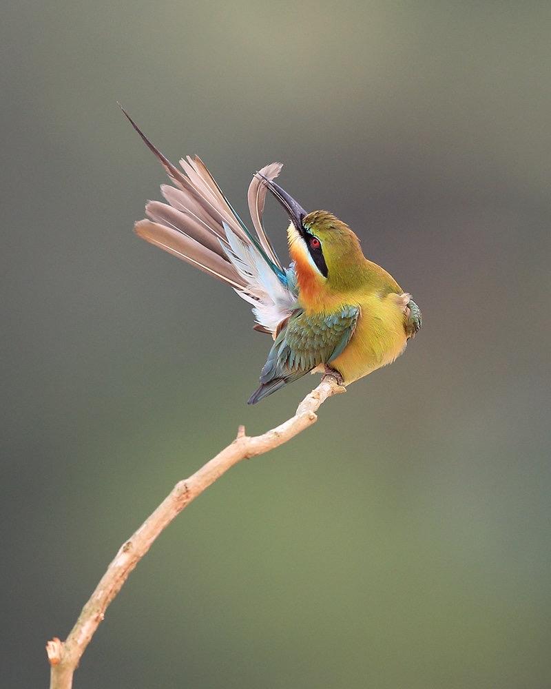 对自己温柔一点，对生活简单一点。