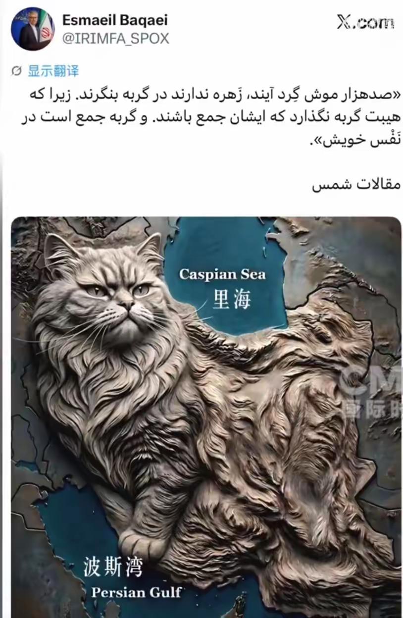 伊朗外交部发言人巴加埃突然在社交媒体上发了这么一张图
他直接用AI把伊朗的国土画