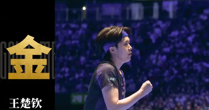 王楚钦4比2战胜日本选手张本智和，亚洲杯卫冕冠军