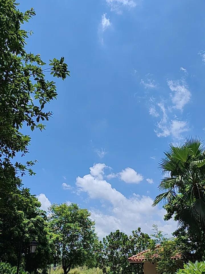 久违的太阳🌞