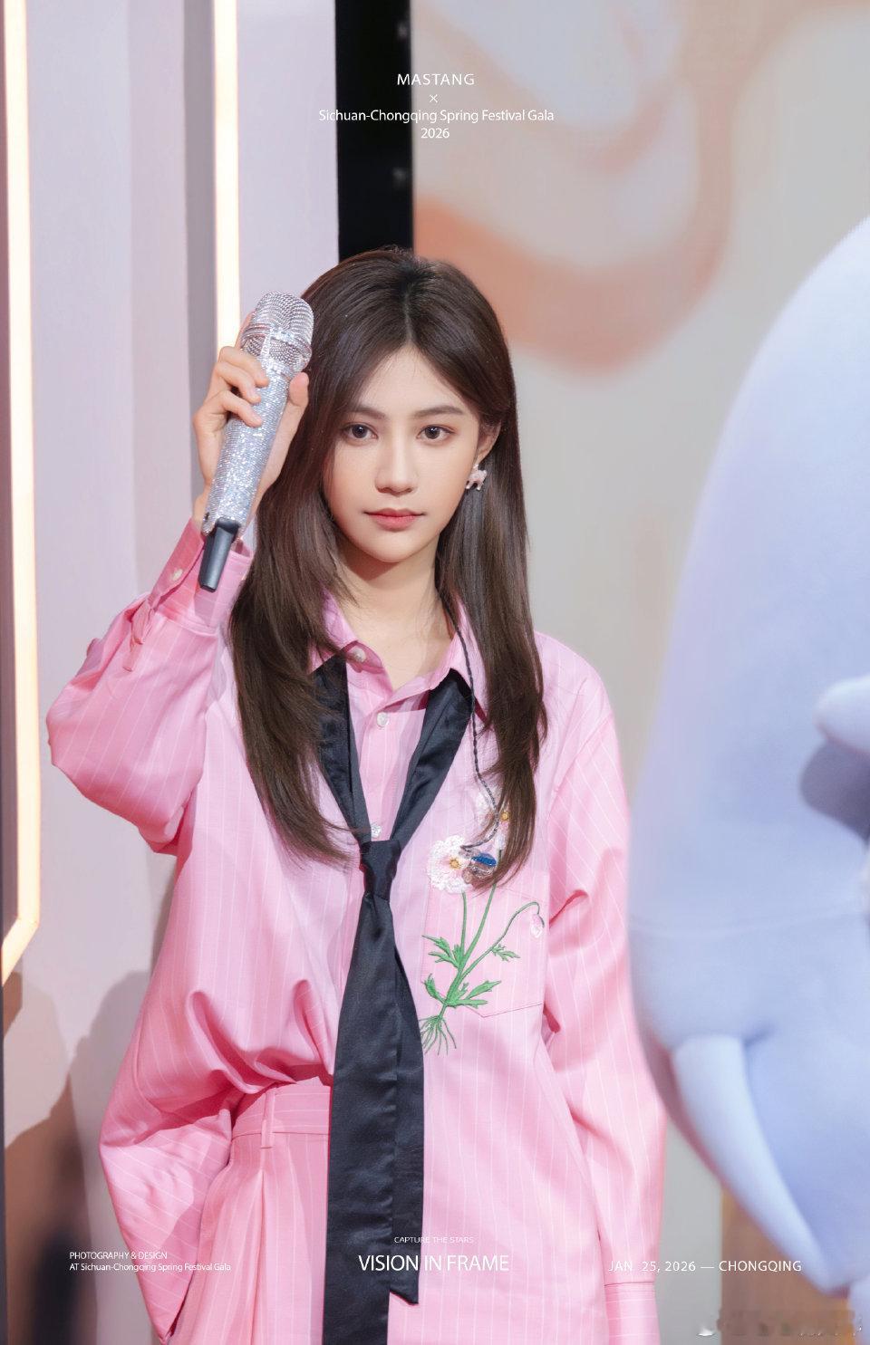 粉红豹祝大家新春快乐，新年行大运，2026都见到想见的人🧨🧨🧨袁一琦川渝春