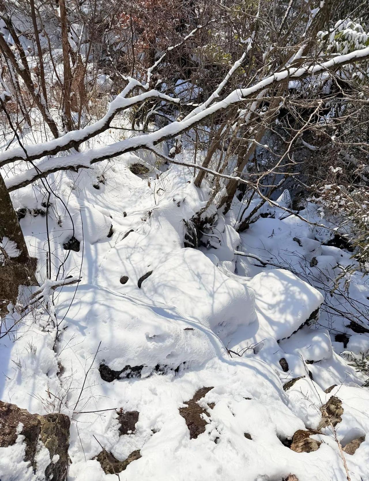 南方也可以听脚踩在雪地上嘎吱嘎吱的声音，一起来爬山涉雪吧！徒步登山