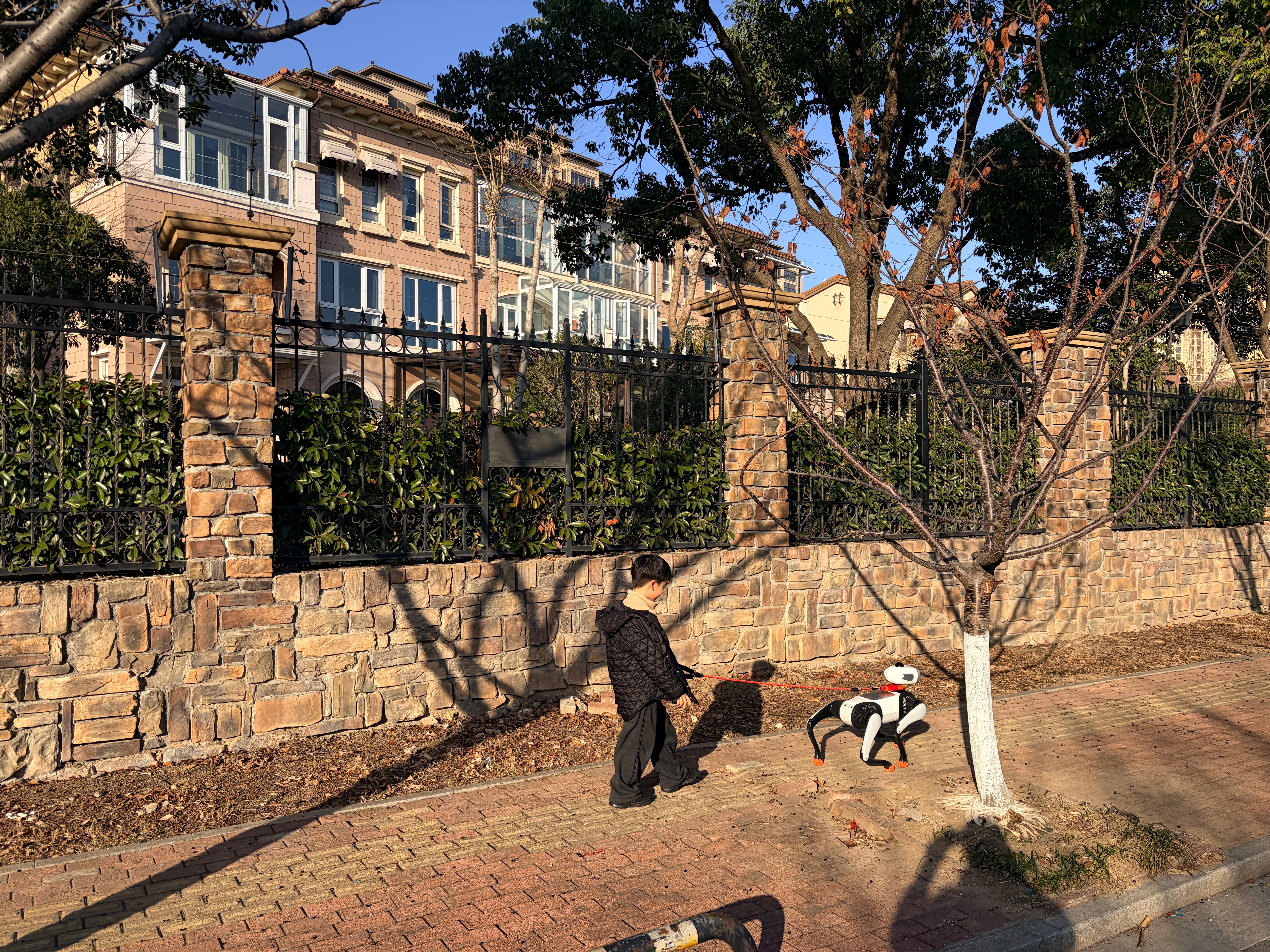 娃不想出门晒太阳遛弯，我说可以去遛狗，娃就出来了，其实我就想用狗溜溜他。vbot