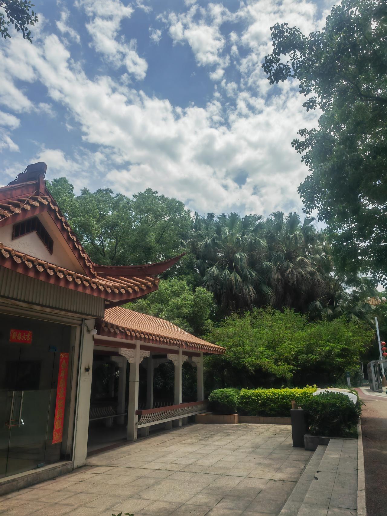福建三明我又又来了，三明太美了，美的我都舍不得离开了。