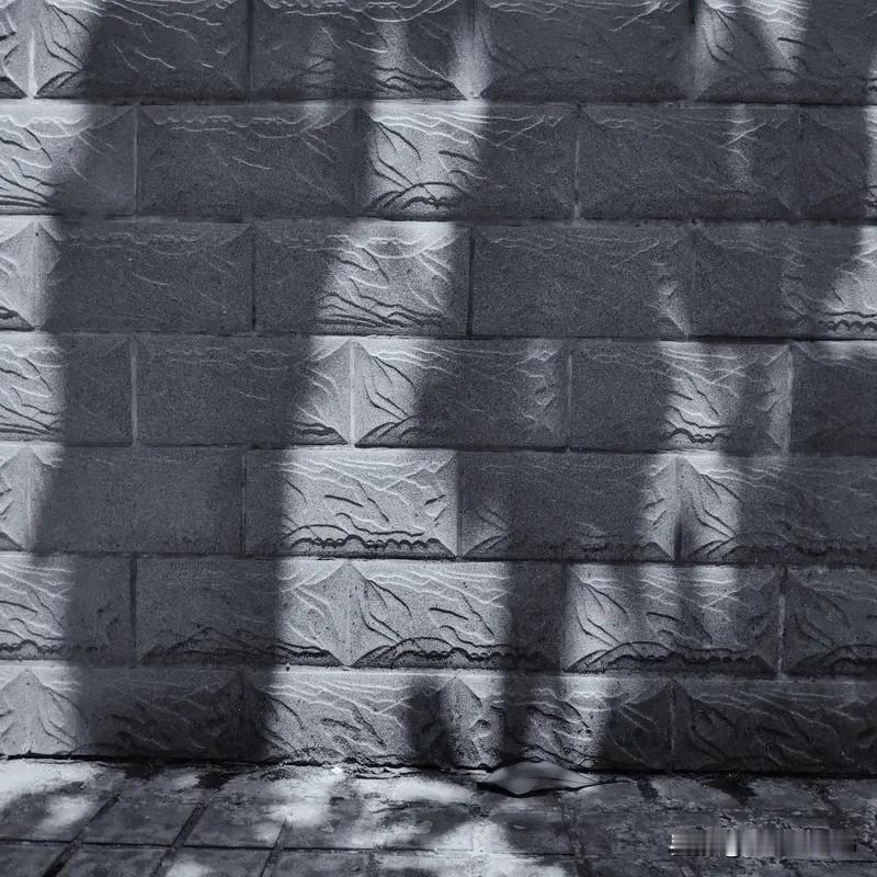 心够亮时，连影子都会为你让路。