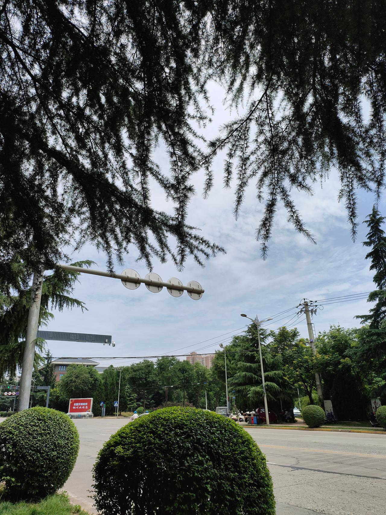 ​一檐中式古建，一树盛夏浓荫，人间烟火与岐黄文脉相伴
​云淡风轻，枝叶为框，定格
