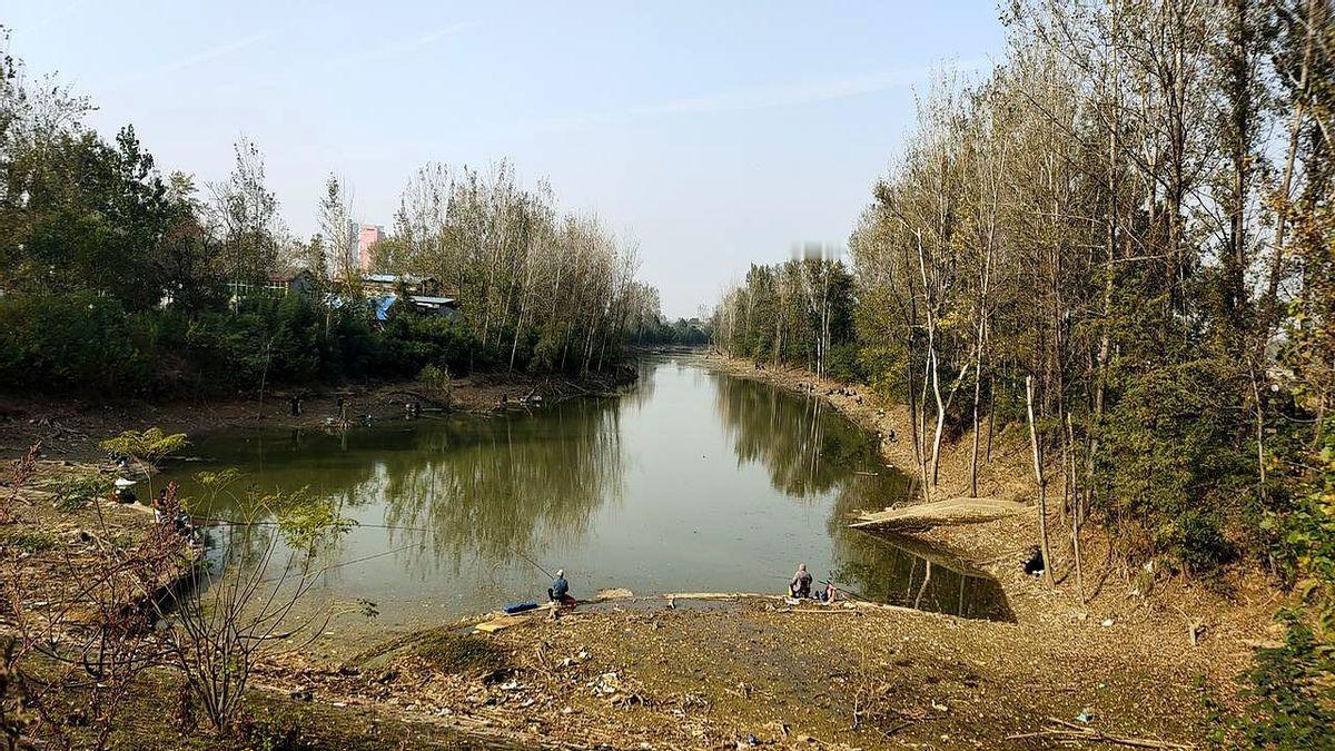 “不会钓鱼，连午休聊天都插不上话。”

真的，有人因为一条鱼，把汇报做成了唠嗑。