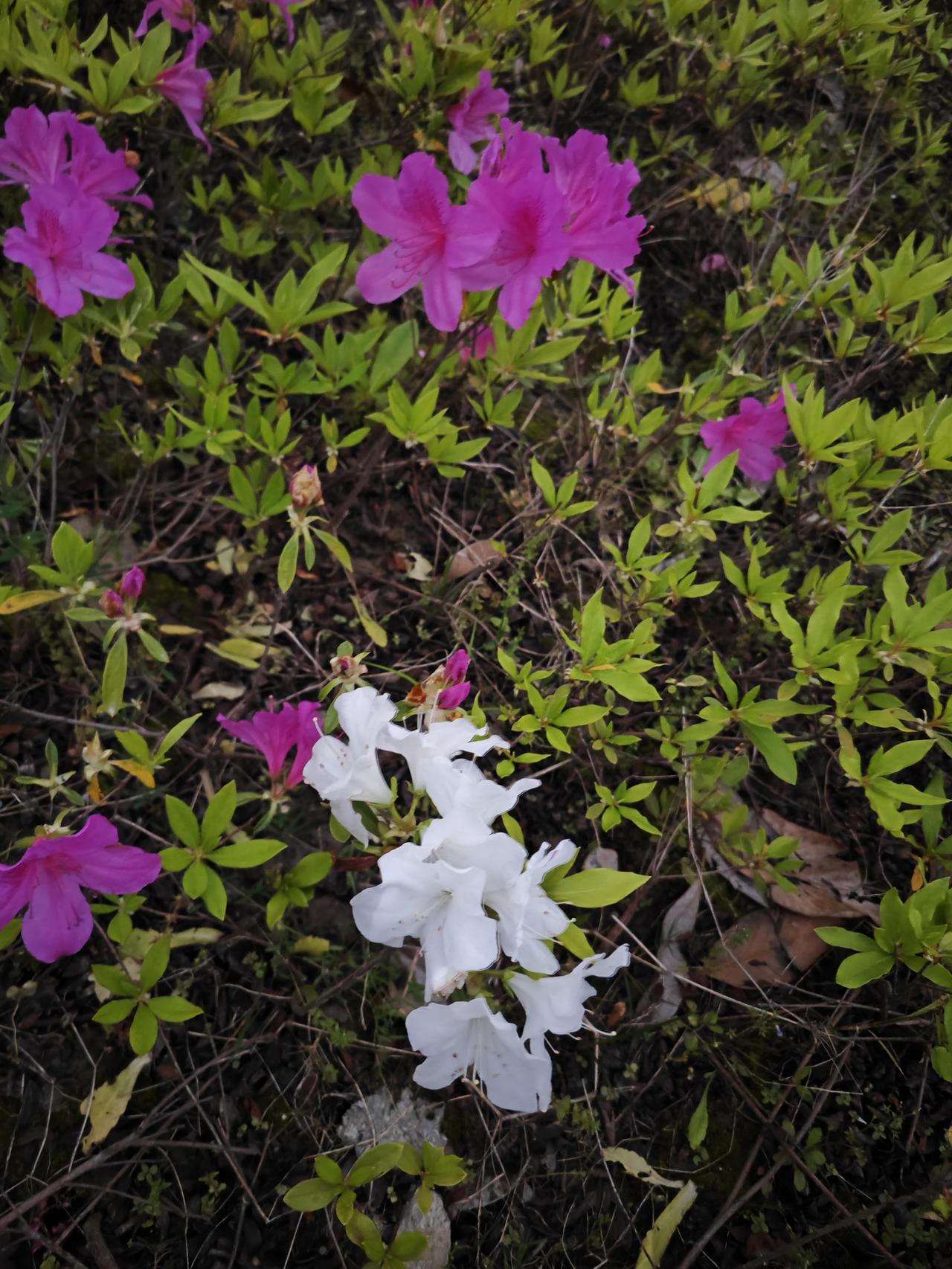 顶级养生就仨字：管住心

别跟烂人较劲——
你气的半死，人家该吃吃该睡睡，
拿别