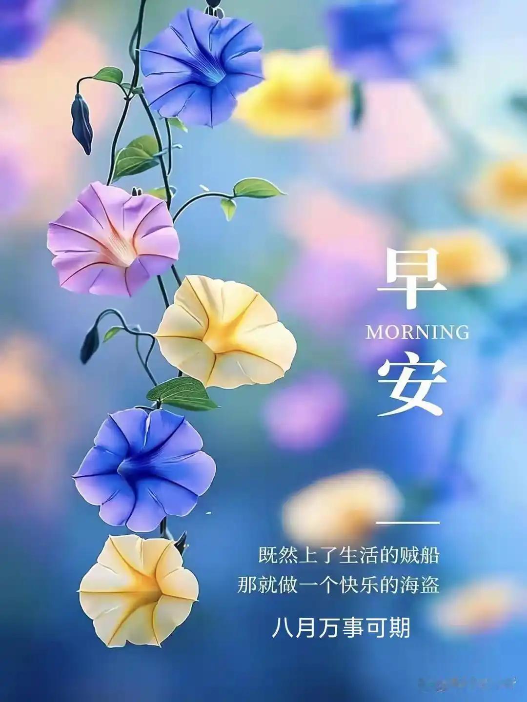 周日的清晨，阳光如约而至，不早不晚，刚刚好。不必匆忙，不必慌张，带着一份恬淡的心