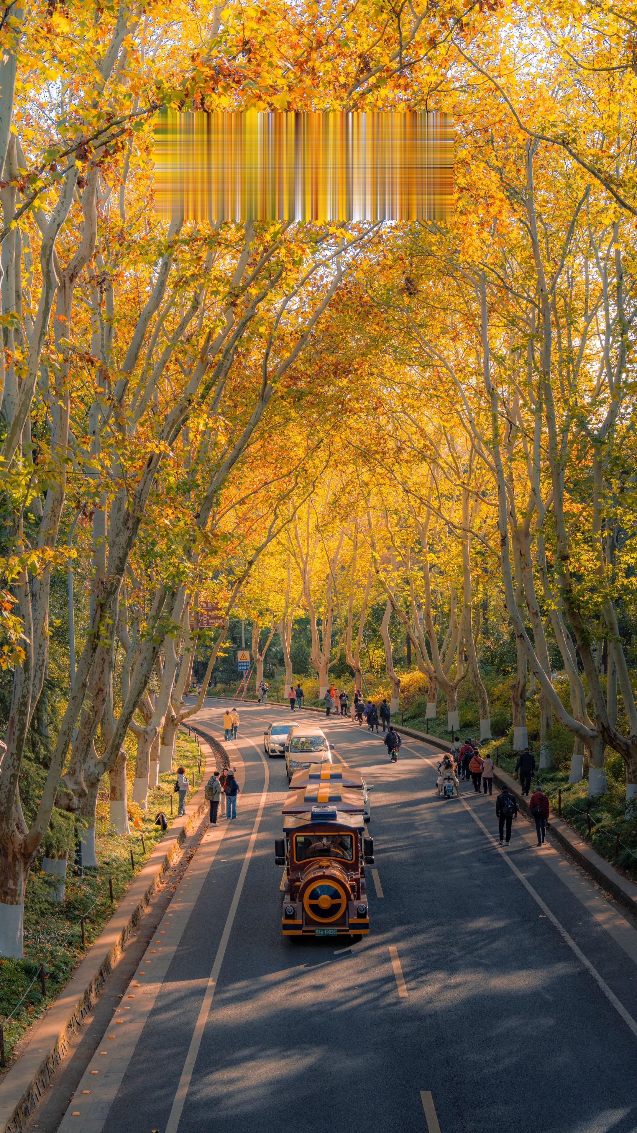 南京迎来了属于它的假期。🍂南京秋日拍照｜不走回头路路线 拍照Day1...