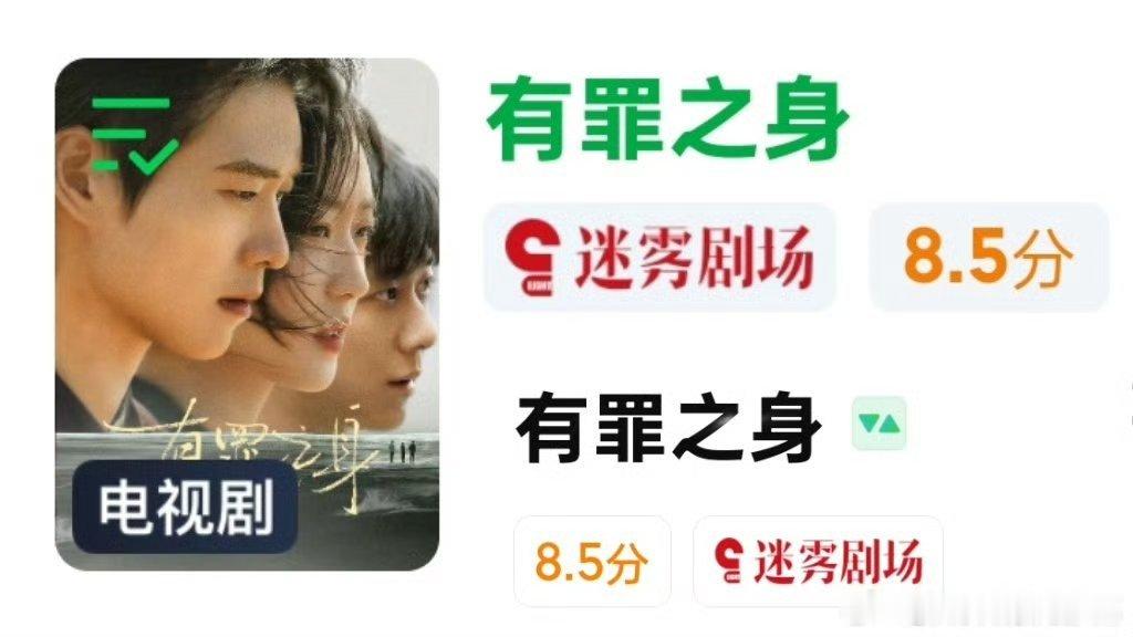 魏大勋剧集有罪之身有罪之身评分涨到8.5了，是2025年后迷雾剧场最高分，这长尾
