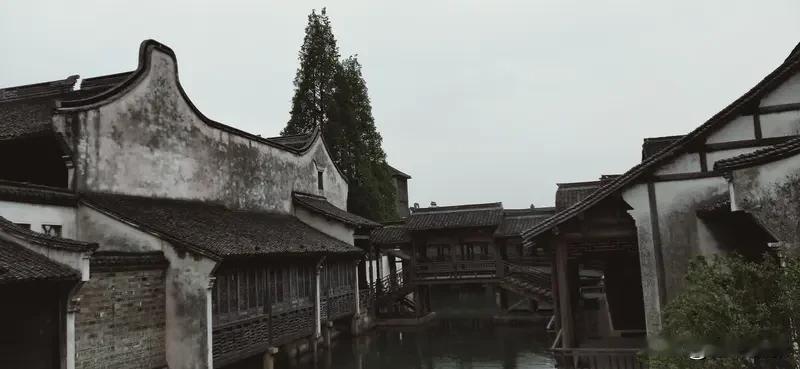 今年春天最想实现的心愿 今年春天，我最想实现的心愿就是去一趟江南古镇。想象着漫步