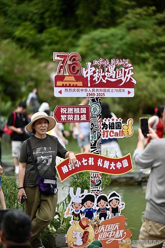 晒图笔记大赛 刚整理完手机里攒了大半年的日常随拍，翻到三月在西湖边拍的樱花落满长
