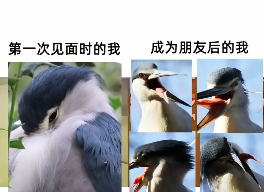 生活手记昆虫放进水里变成了什么？混浊 