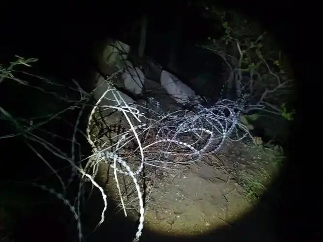 近期，网友感叹：“中泰边境”惊现泰山。很蹊跷也很有胆量，泰山奶奶被135公里、2