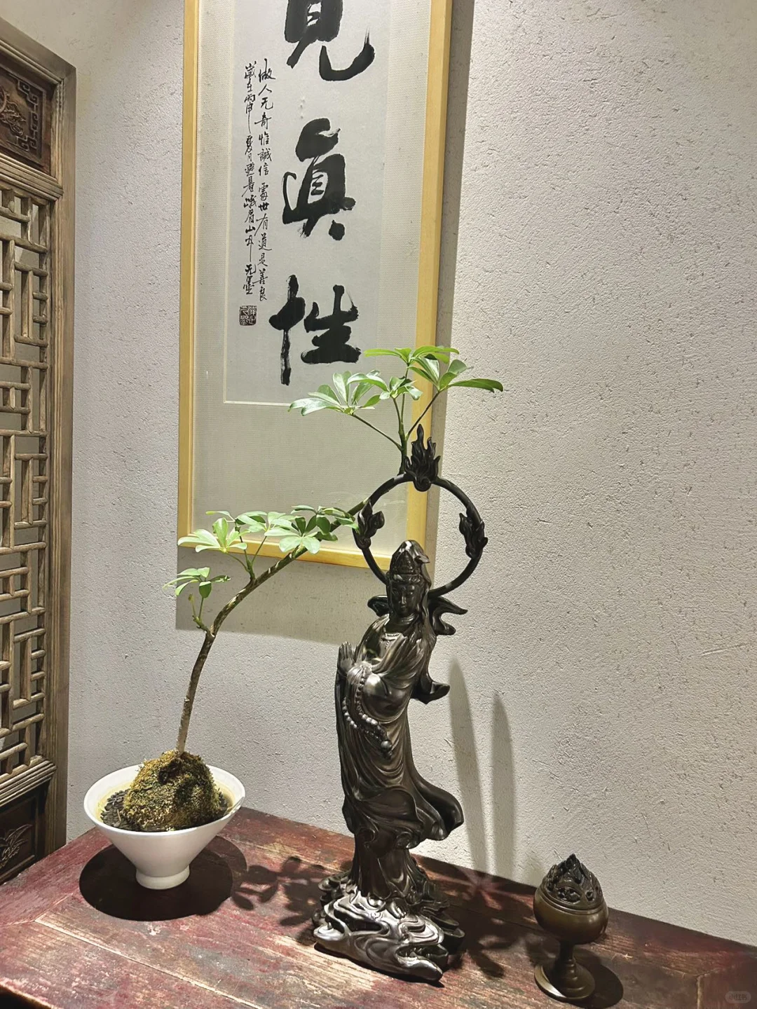 新百这家店真真是我心中的宝藏天花板了📿