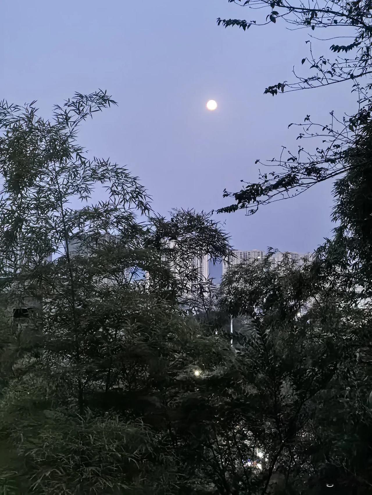 七律.十六日的月亮
（2024年9月19日）
十五月娥十六圆，清辉如画照千年。