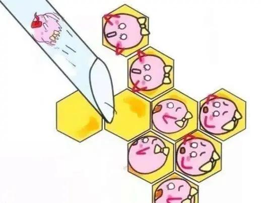 #健康真探社#【做试管一次性取出多个卵子会加速衰老吗？】我们经常听到一种说法：女