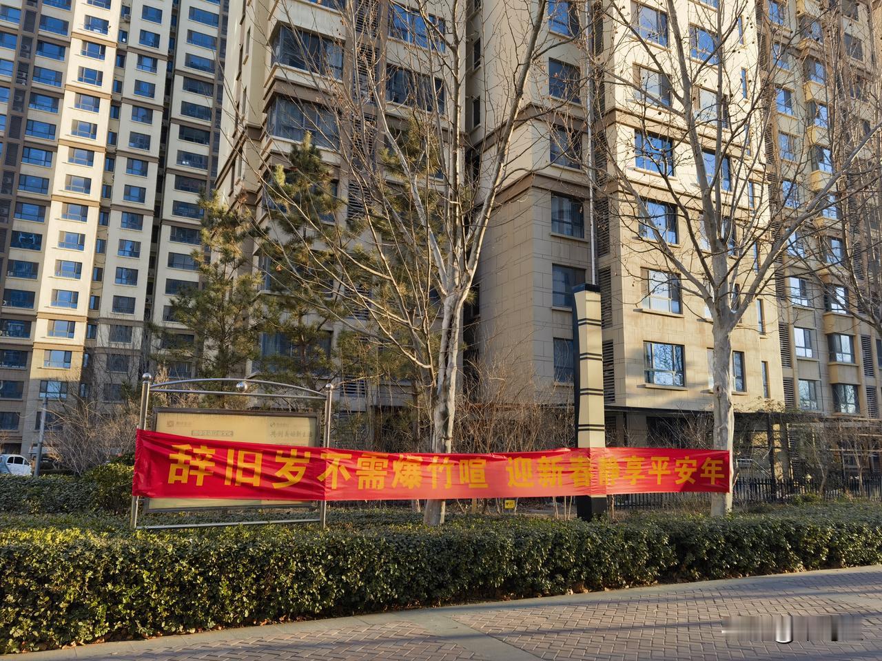 除夕
到处静悄悄
河北的鞭炮禁放令执行得非常到位
村里可以看到戴着红袖箍的执勤人