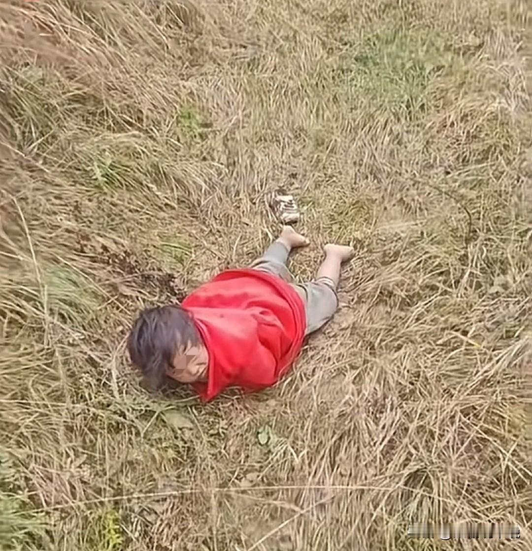 刷到过那么多走失儿童
大多数都是以悲剧收尾
辽宁这个4岁女童能够被安全寻到，有一