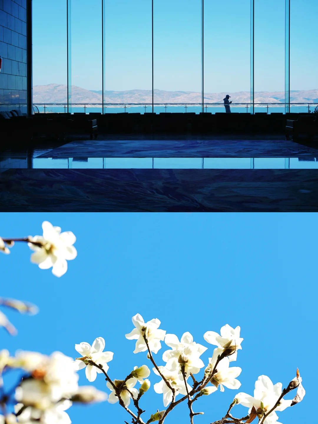 避人潮！大理顶流观海酒店，每一帧都是壁纸