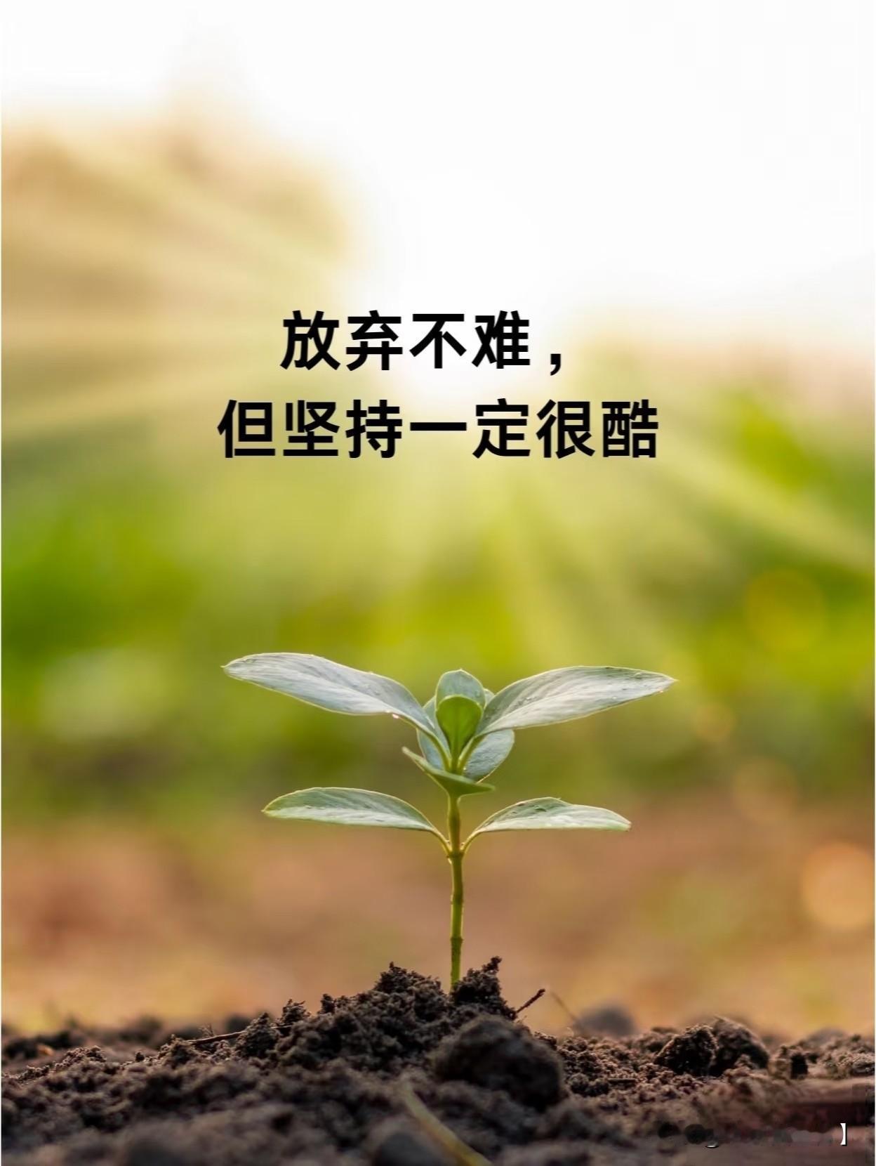 如果创作没有收益,你还会坚持吗? 
 就像健身一样，每一次创作都是对大脑肌肉的锻