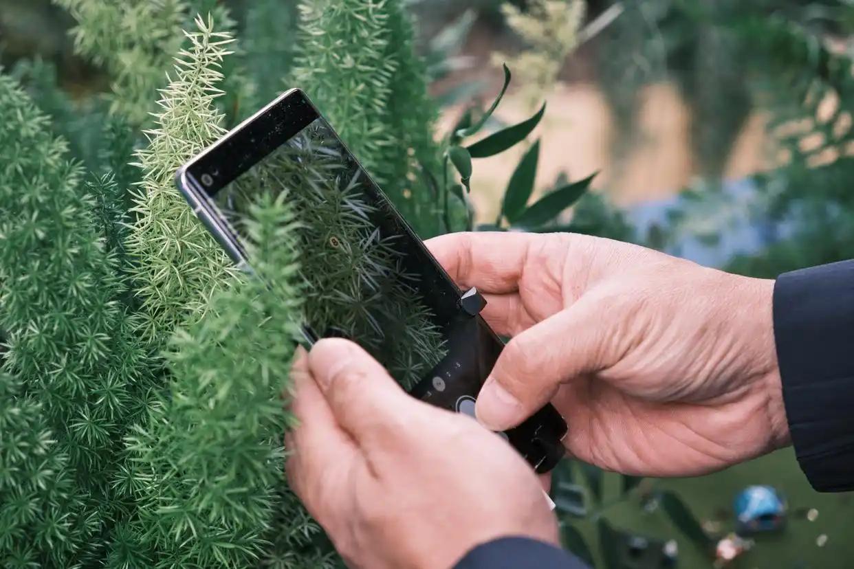 谁也没料到，一向敢说敢做的欧盟，这次直接剑指全球科技巨头谷歌，正面硬刚不含糊，场
