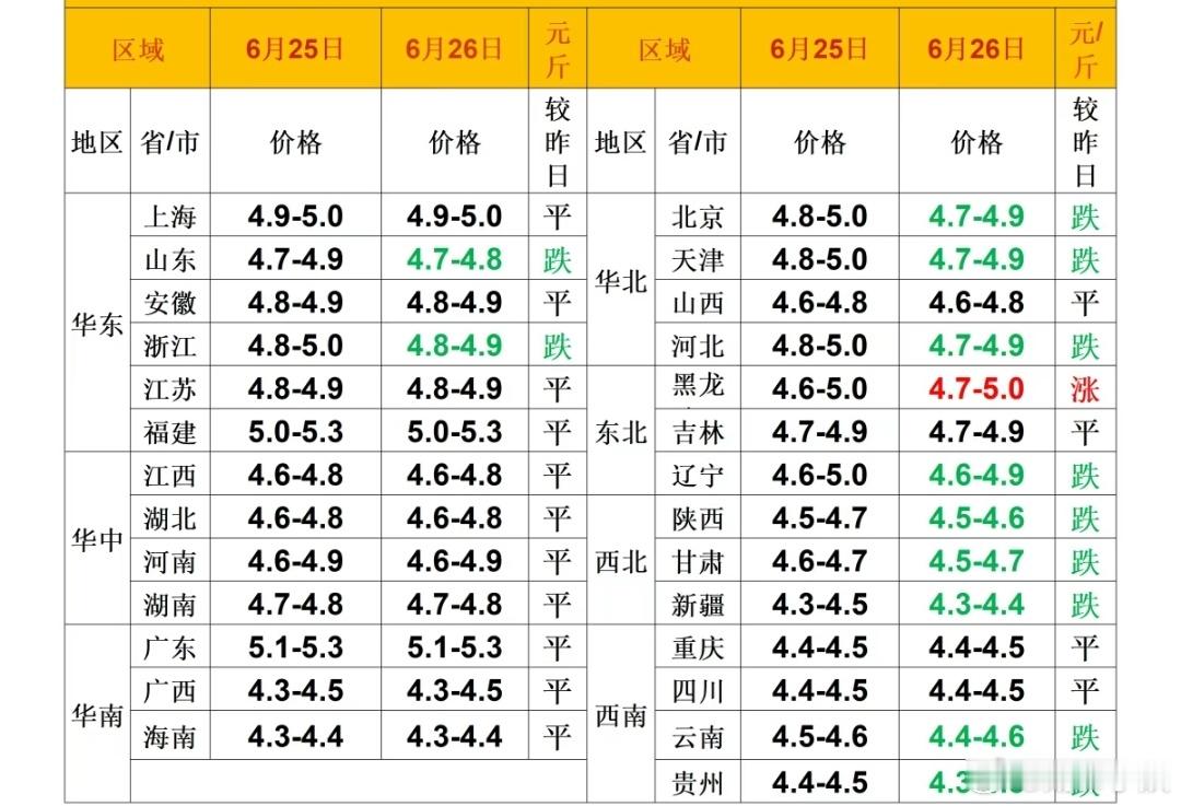 每日猪价 
