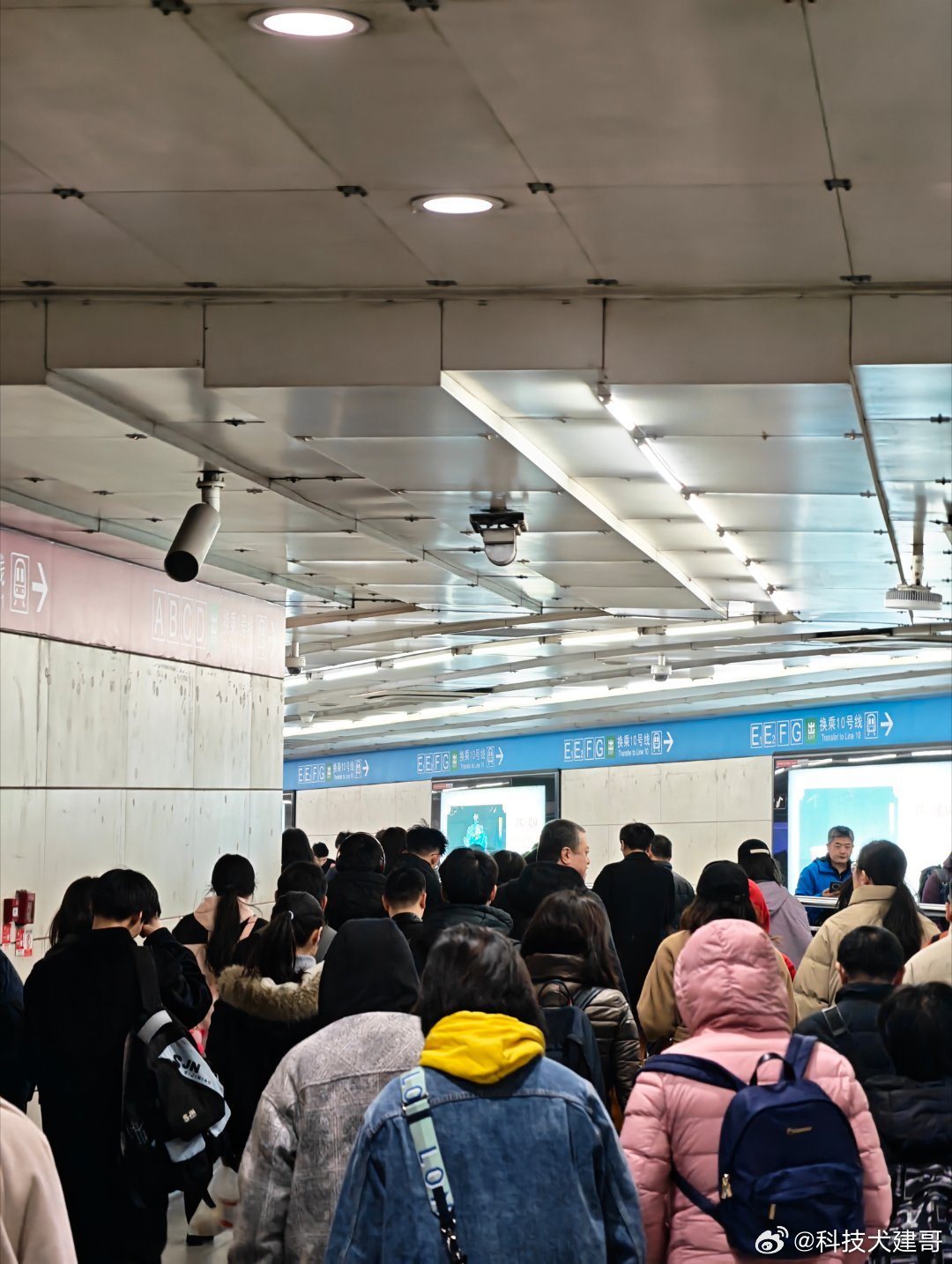 沪式安慰常以国际视野为引：“你需要一个属于自己的Moment。”随之分享在新西兰