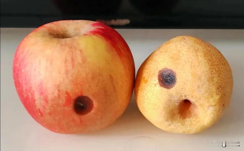 买了一堆水果，总想着先吃快坏掉的，怕放着浪费。可等把这些不新鲜的吃完，原本完好的