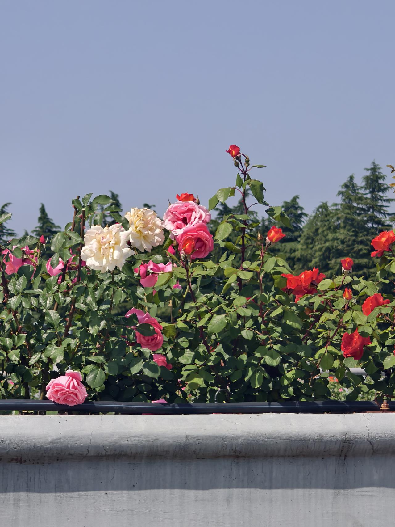 惊到了！国内现在的贫富差距太大了。刚看到广东一个搞家装的留言，他已经给一家装修大