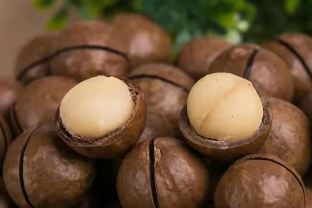 这种坚果被称为“固态橄榄油”，70%都是油，却让你越吃越健康？

别被“高油”吓