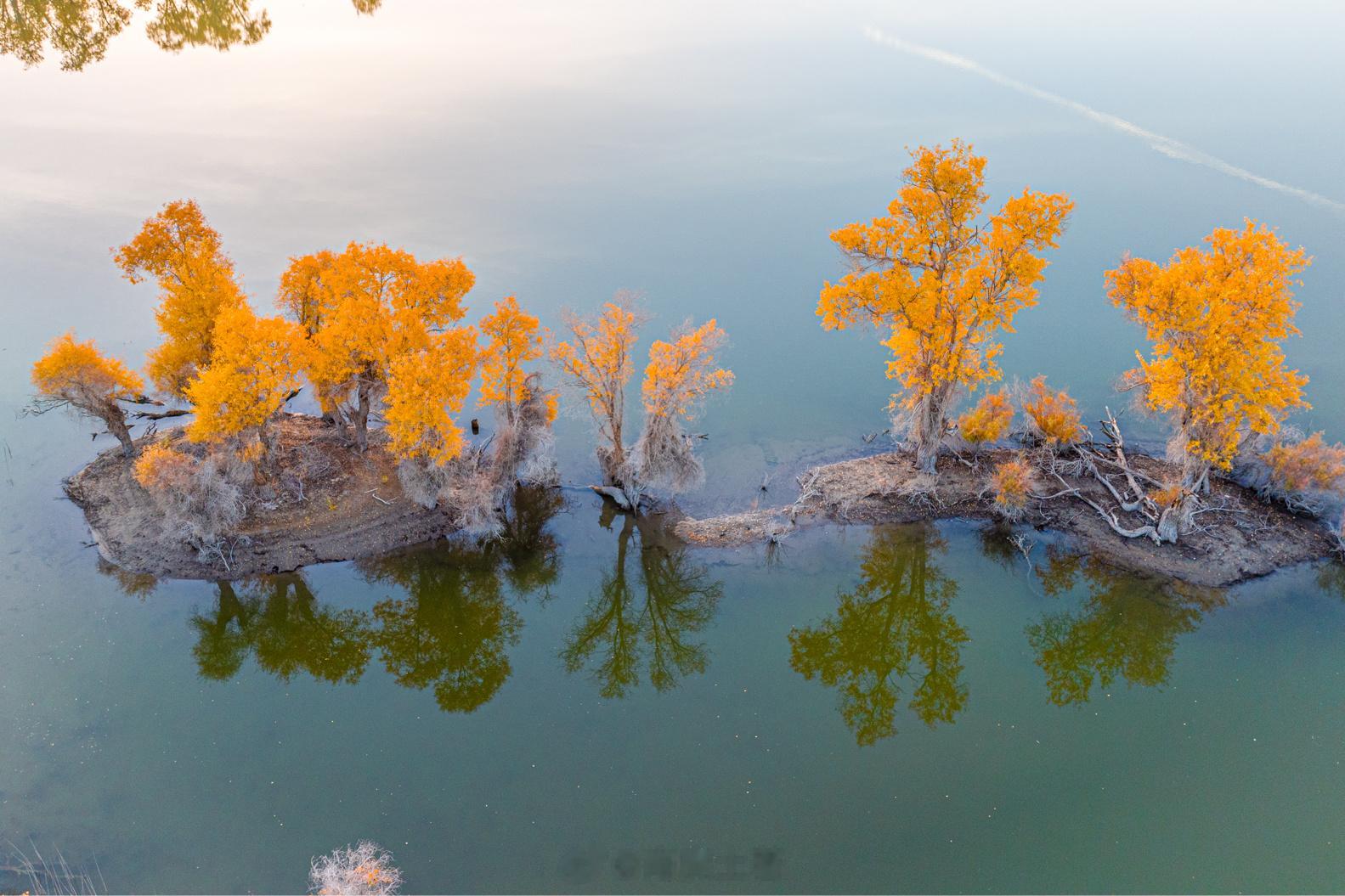 就像这个沙雅的地名一样，世界胡杨林公园不仅概括了塔里木河这片绿洲，是全世界胡杨林