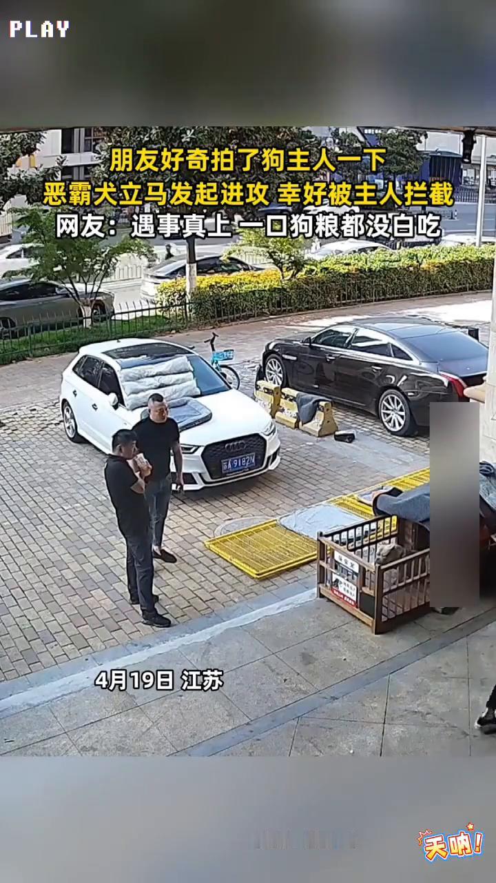 朋友好奇拍了狗主人一下，恶霸犬立马发起进攻，幸好被主人拦截。网友：遇事真上一口狗