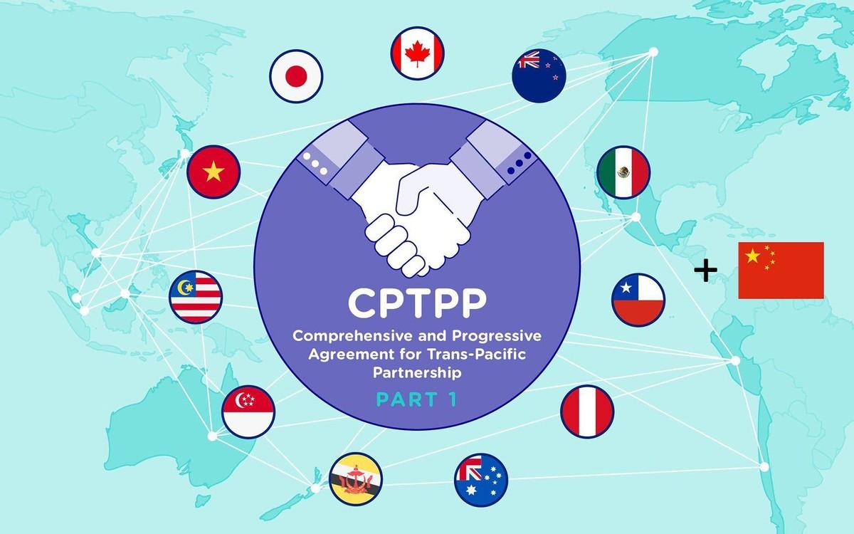 日本和韩国要和好了？韩国这回是铁了心要入CPTPP了！据日本共同社6月12日消息