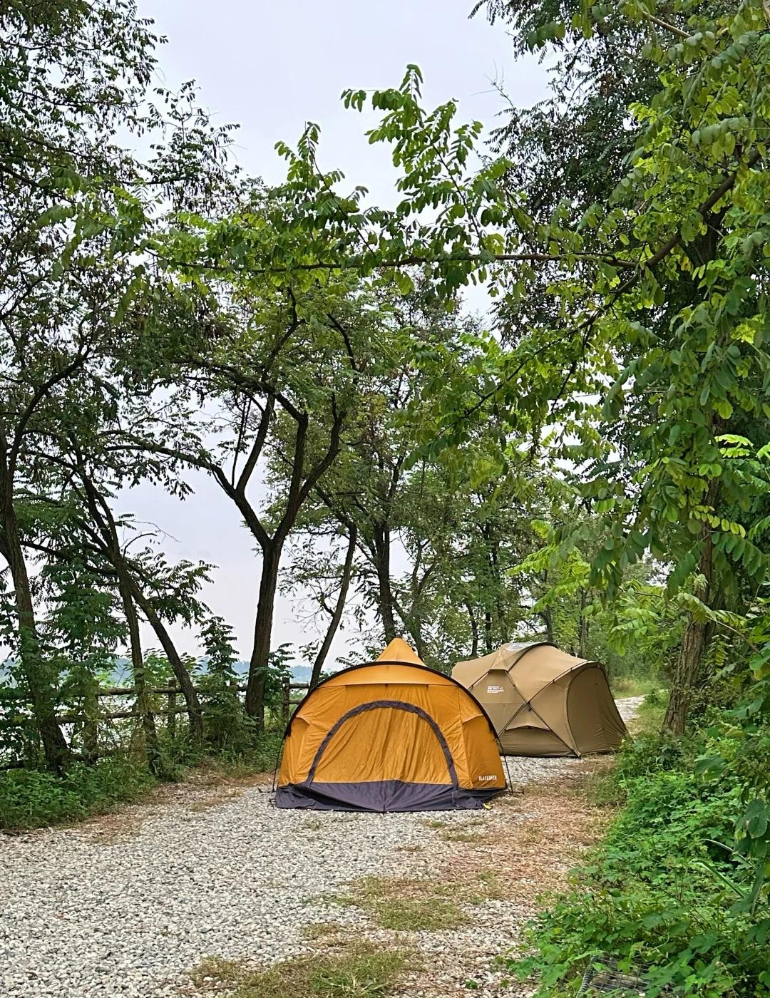 10.1实况➡️岷江边 开车直达 成都免费露营
这免费露营地在可以观岷江风景的一