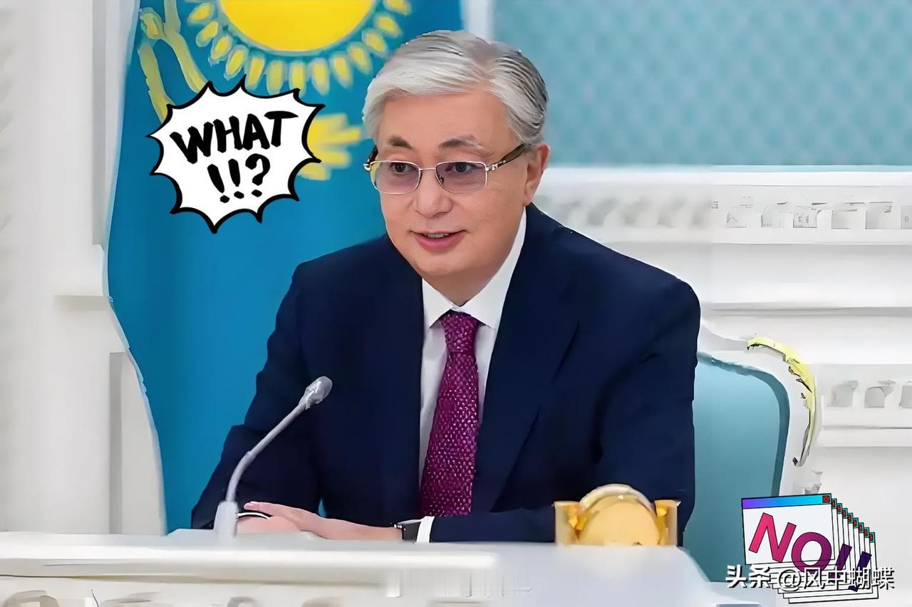 哈萨克斯坦这波操作真挺聪明！
哈萨克斯坦总统托卡耶夫访日时表示，中等国家在全球稳