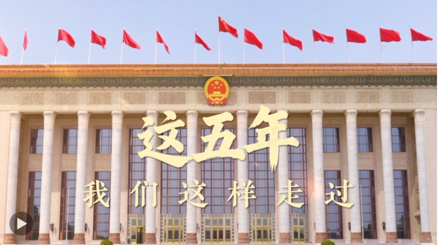 这五年,我们这样走过