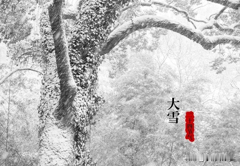 今天12月7日，大雪节气到啦！“大雪十一月节，至此而雪盛也”，虽说“大雪”不是降