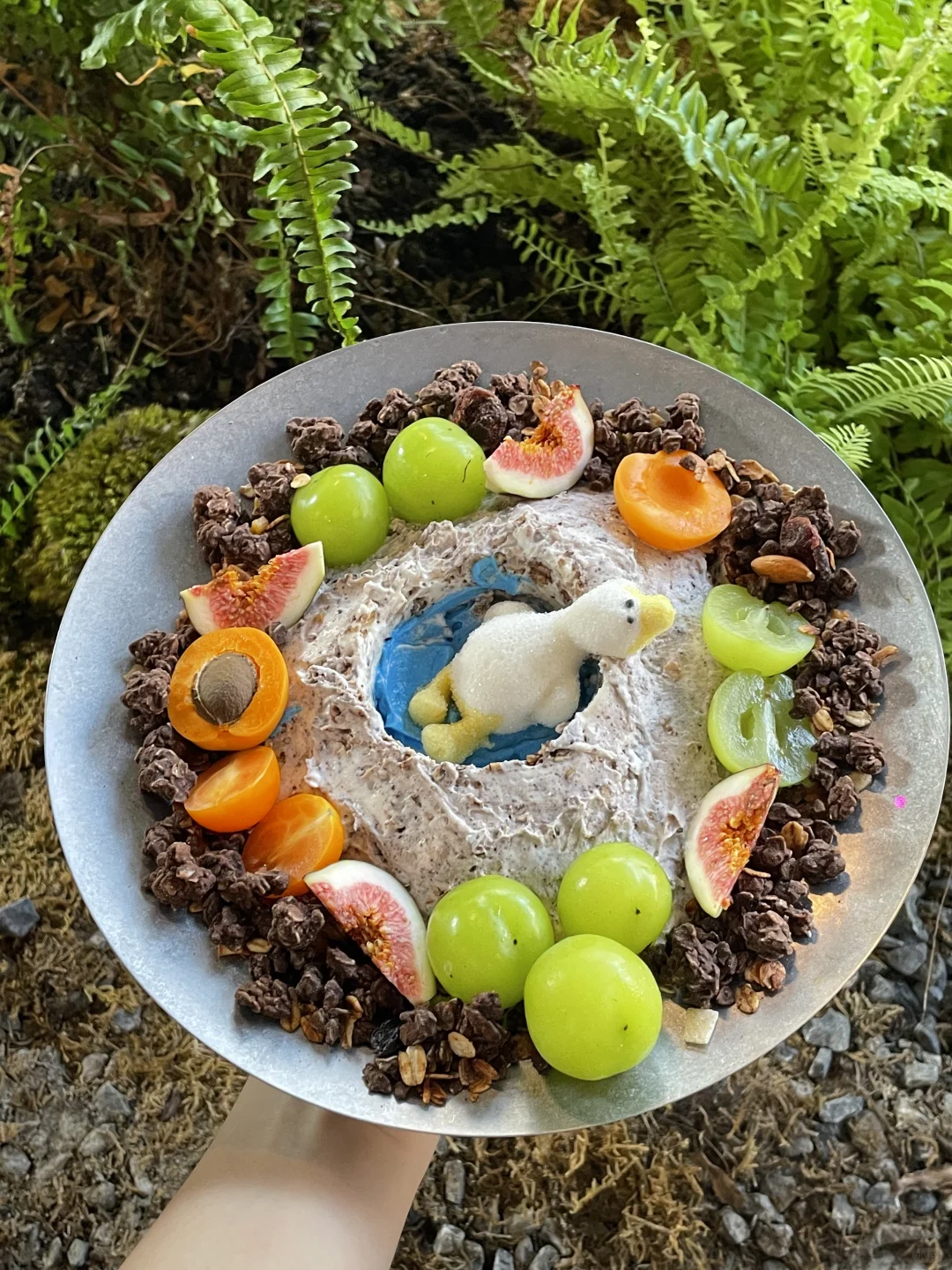 武汉会一直去的漂亮店！🌿🪨常来常新…