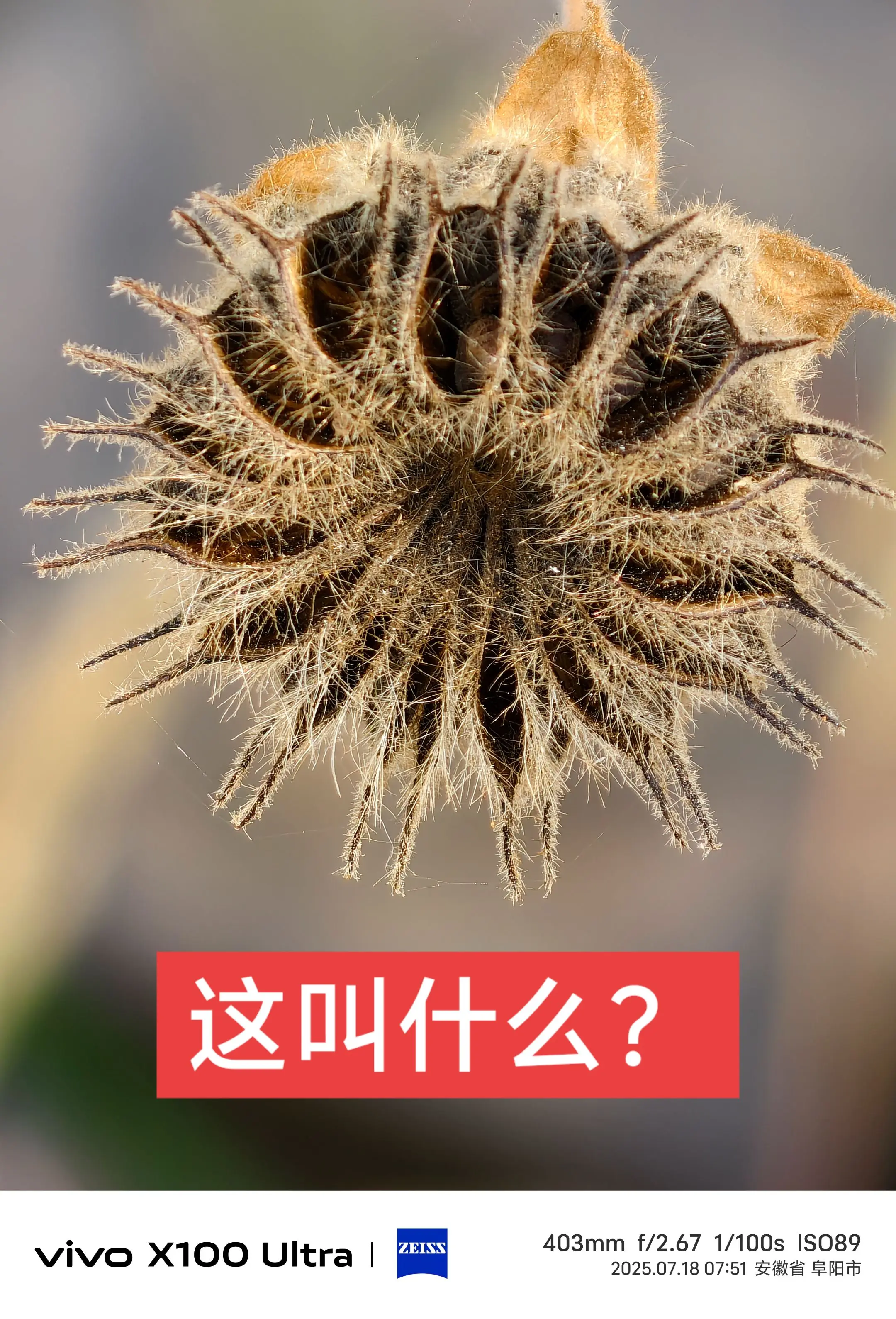 太漂亮了 视觉艺术