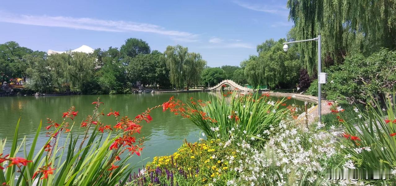 京城美景
锦绣斑斓湖畔花，
舟横澈水网鱼虾。
漫步石桥跨两岸，
请续句……
（观