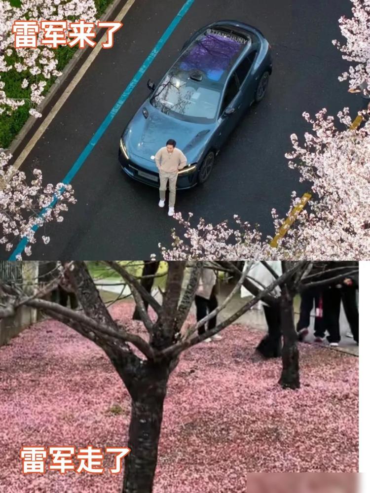 樱花季的武大凌晨五点半居然能偶遇雷总！带着还没发布的小米YU7在空无一人的樱花大