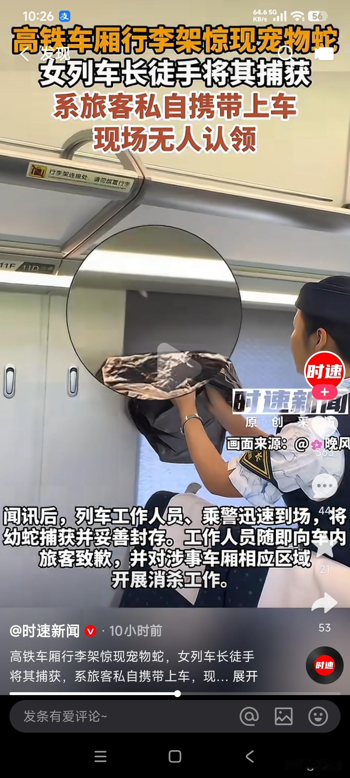 高铁车厢行李架居然惊现白色宠物蛇，女列车长手拿黑色袋子将它抓获，这乘客带蛇坐车安