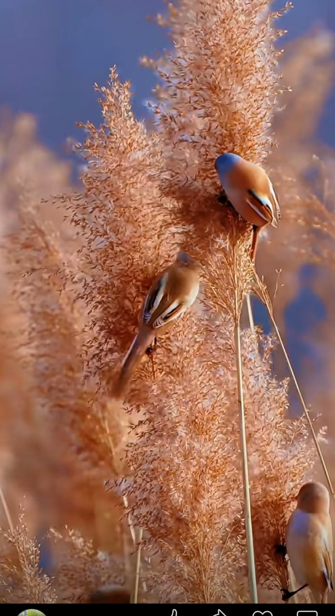 每当累了的时候，我会眺望远方。
天空的蓝色给人以希望，树木的绿色。让眼睛更加明亮