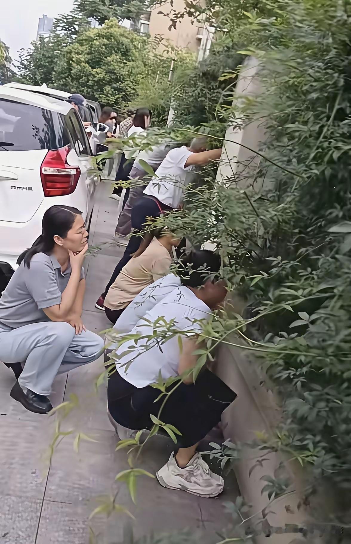大妈大爷们忘记了回家做饭，一蹲一看几小时，人世间的专注莫过于此。